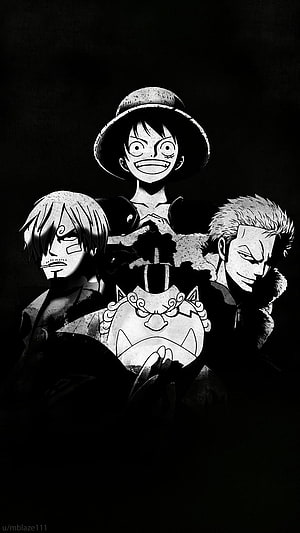 One Piece Straw Hat Pirates Luffy Zoro Sanji Black and White Anime Wallpaper HD phone wallpaper
