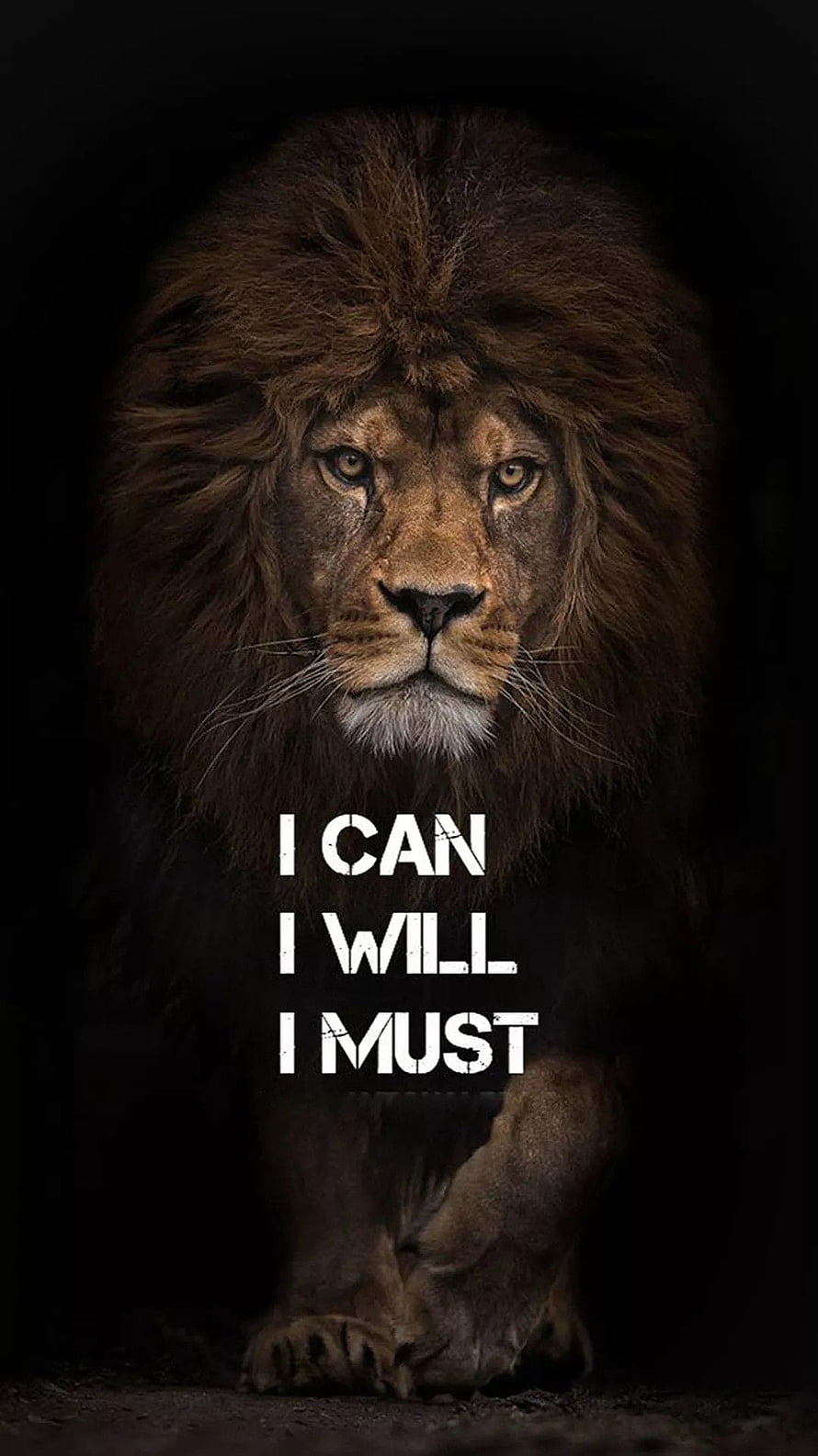 Majestic Lion Portrait with Motivational I Can I Will I Must Text on Dark Background HD phone wallpaper