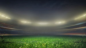 Empty Cricket Ground at Night Under Stadium Floodlights HD wallpaper