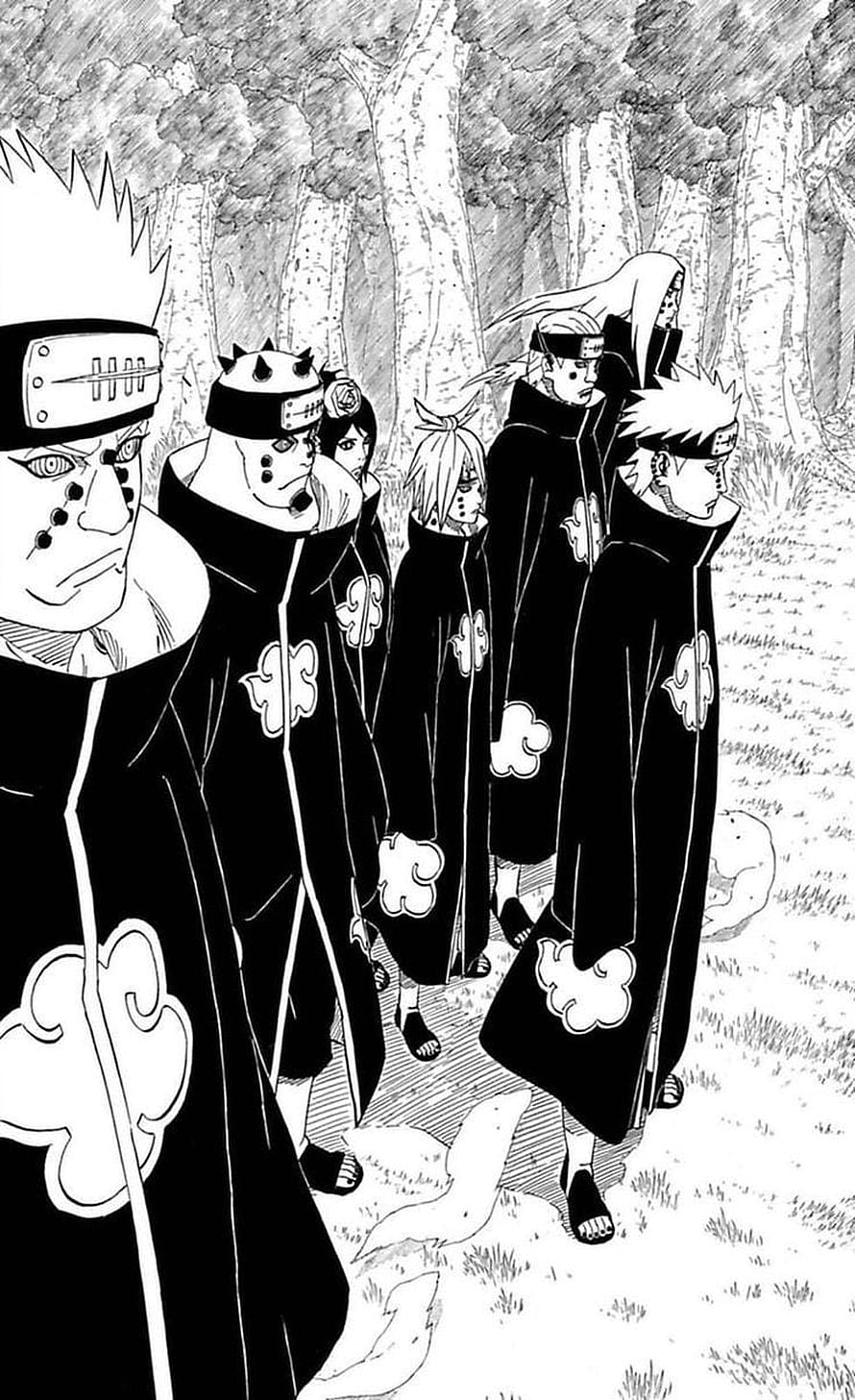 Naruto Akatsuki Members Walking Through Forest in Black Cloud Robes HD phone wallpaper
