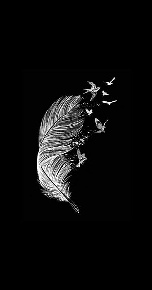 Black and White Illustration of a Feather Dissolving into Flying Birds HD phone wallpaper