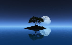 Serene Night Scene With Silhouetted Tree On Small Island And Full Moon Reflection HD wallpaper