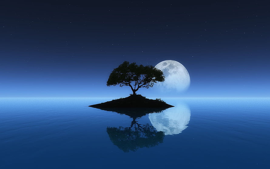 Serene Night Scene With Silhouetted Tree On Small Island And Full Moon Reflection HD wallpaper