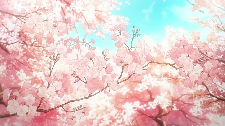 Anime Style Cherry Blossom Branches Against Blue Sky HD wallpaper
