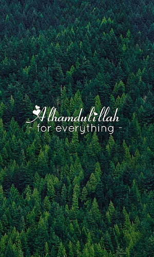 Aerial View of Dense Evergreen Forest with Alhamdulillah Gratitude Text Overlay HD phone wallpaper