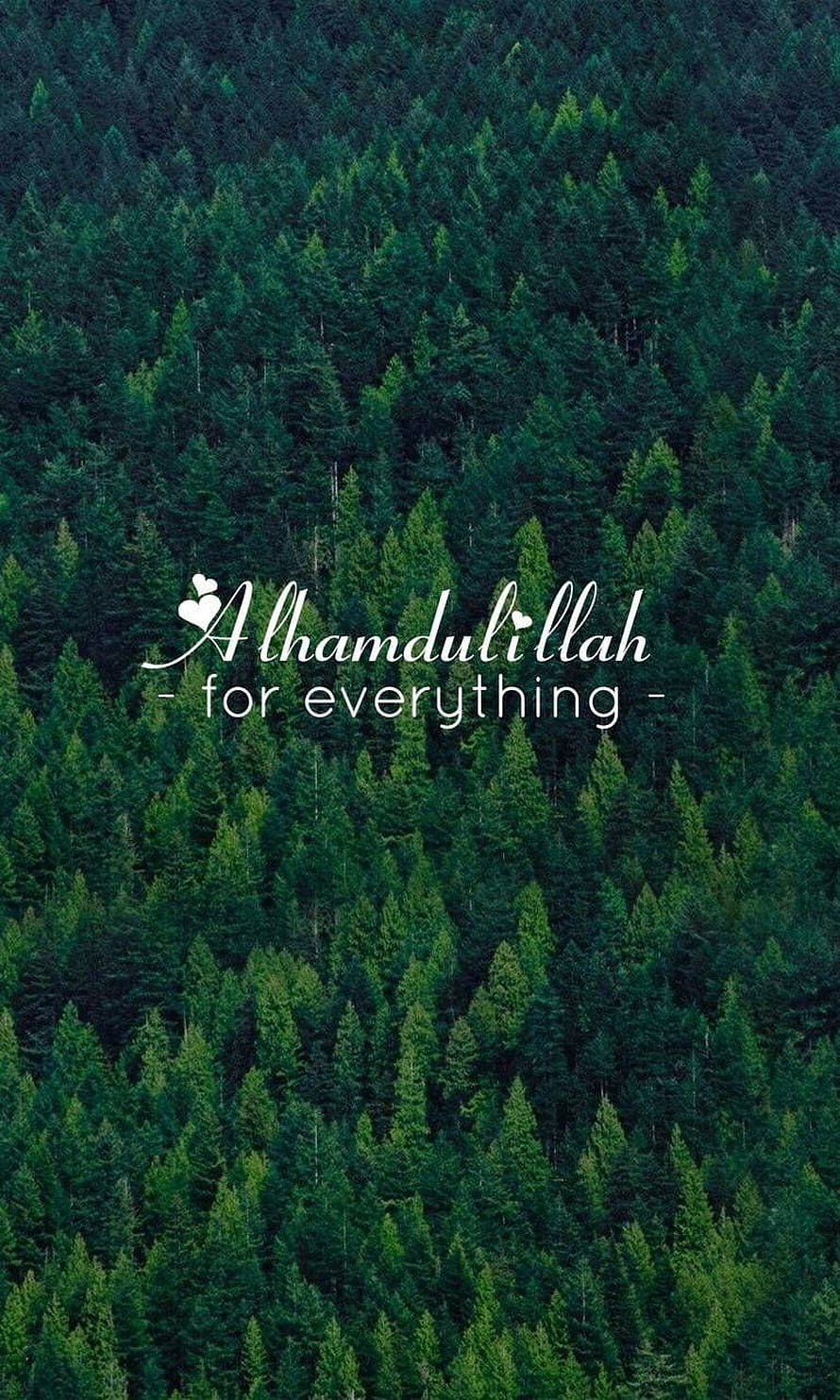 Aerial View of Dense Evergreen Forest with Alhamdulillah Gratitude Text Overlay HD phone wallpaper