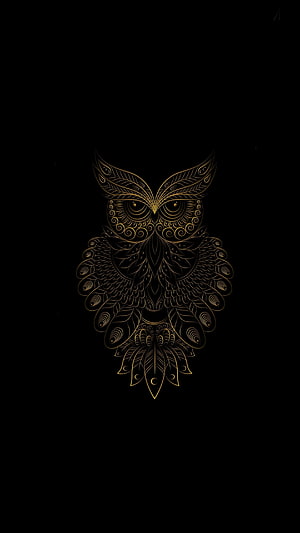 Intricate Golden Owl Line Art on Black Background with Ornamental Feather Patterns HD phone wallpaper