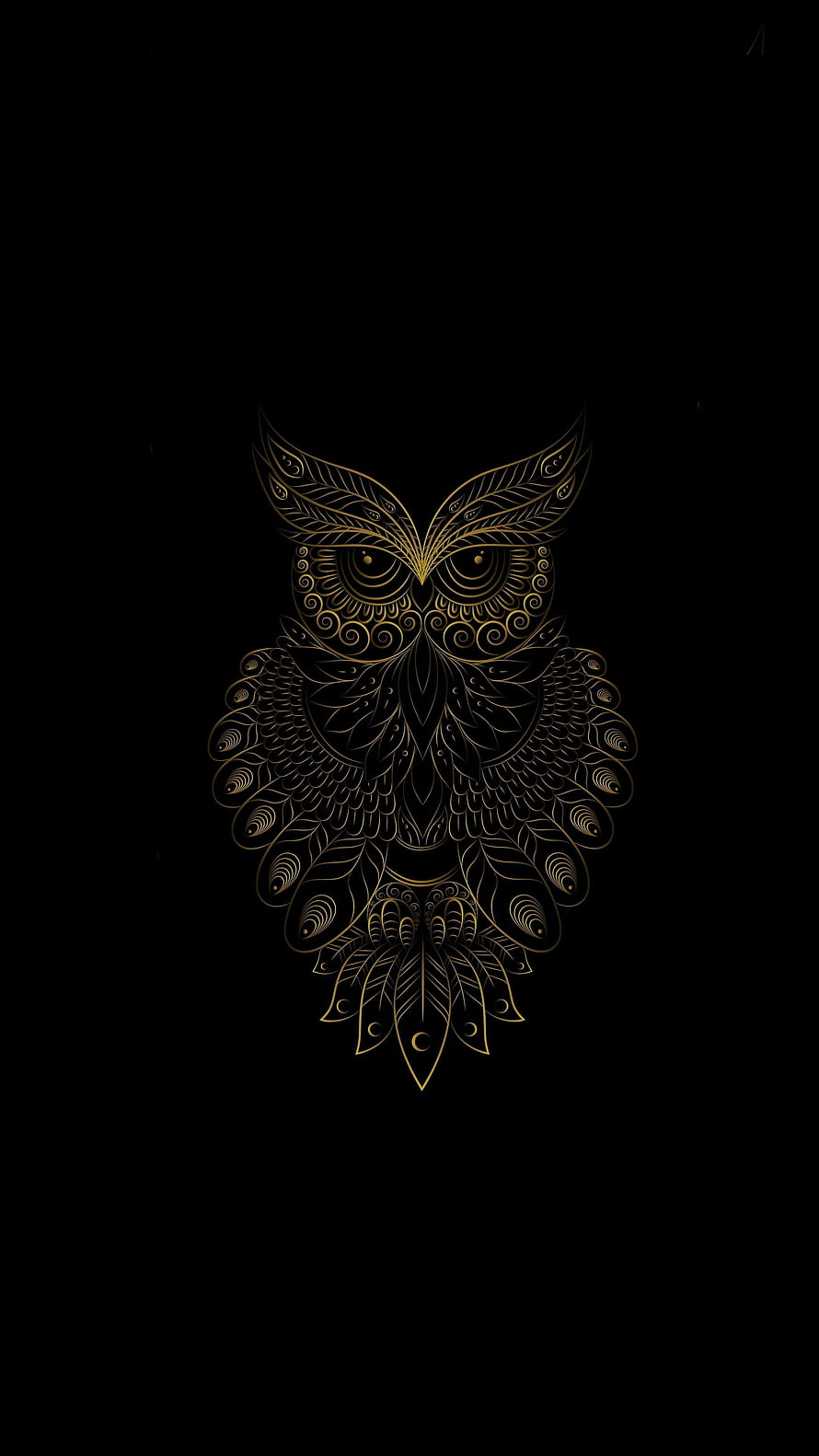 Intricate Golden Owl Line Art on Black Background with Ornamental Feather Patterns HD phone wallpaper