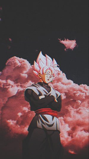 Goku Ultra Instinct Dragon Ball Super Anime Wallpaper HD phone wallpaper