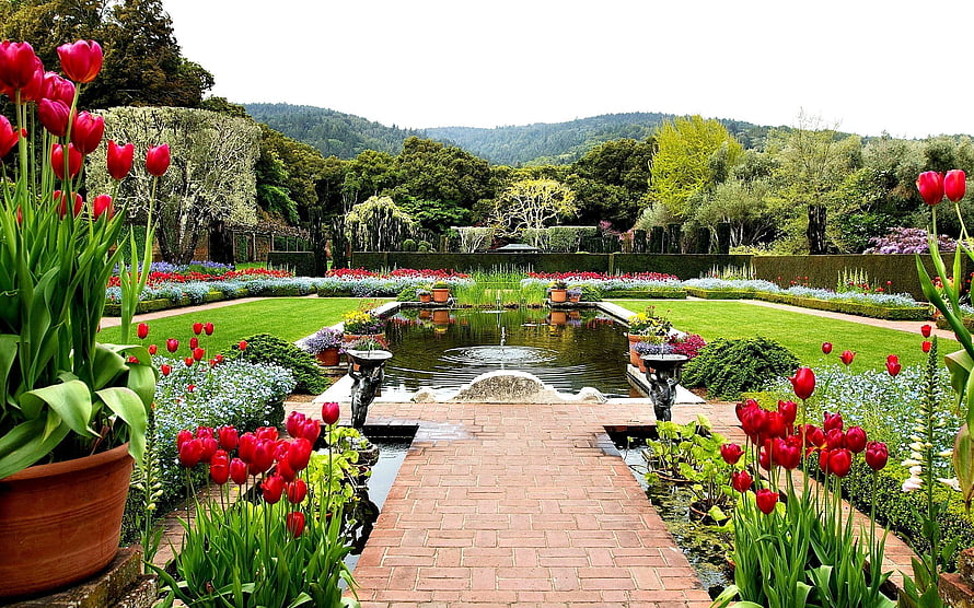 Formal Garden with Tulips, Fountain, and Brick Walkway HD wallpaper