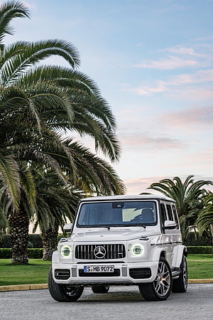White Mercedes-Benz G-Class SUV parked on a driveway with palm trees in the background HD phone wallpaper