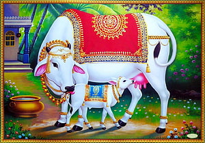 Sacred White Cow and Calf in Traditional Indian Decorative Art HD wallpaper