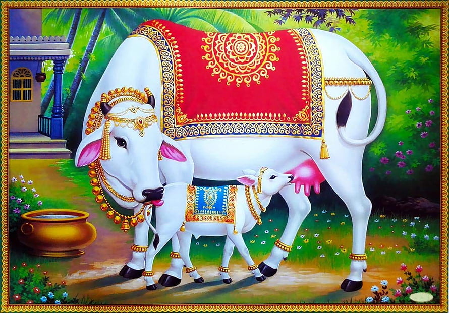 Sacred White Cow and Calf in Traditional Indian Decorative Art HD wallpaper