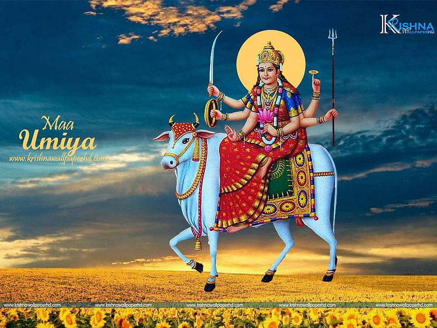 Maa Umiya Mataji Riding White Bull with Sword and Trident in Golden Field HD wallpaper