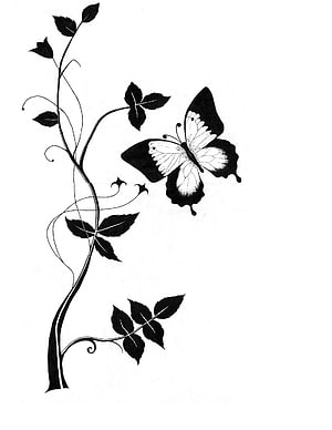 Black and White Butterfly and Vine Illustration with Decorative Leaves HD phone wallpaper