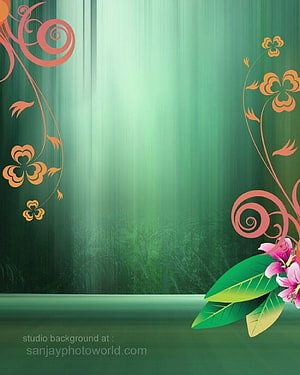Elegant Green Floral Studio Background with Decorative Vines and Pink Flowers HD phone wallpaper
