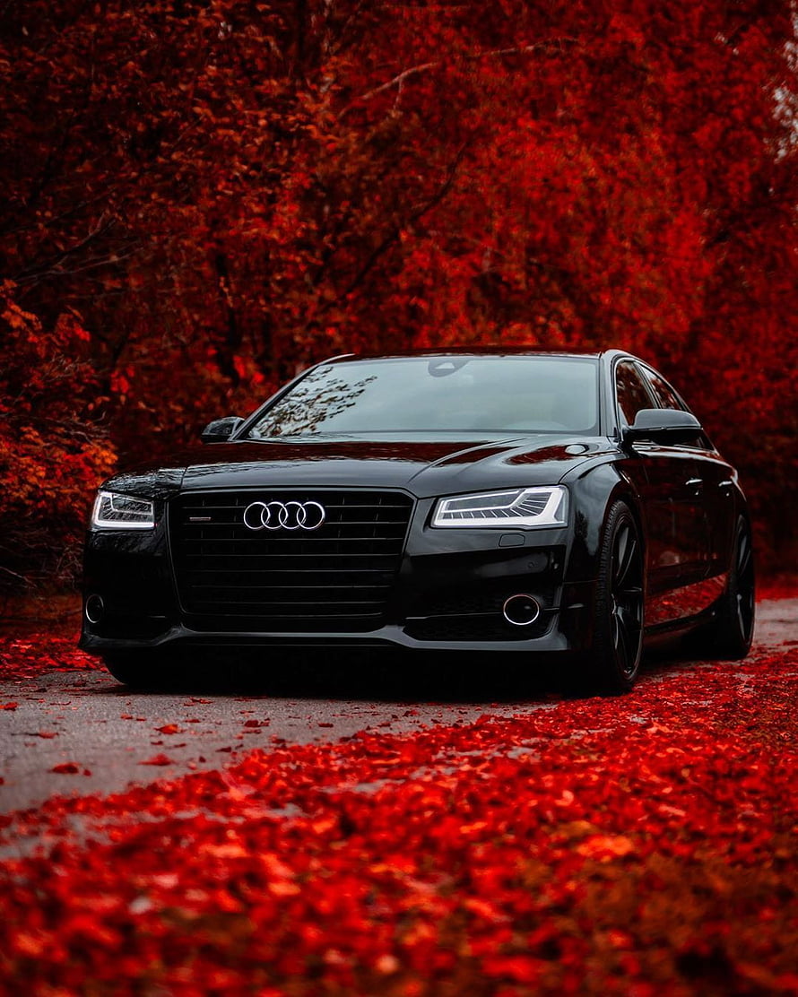 Black Audi S8 Sedan Parked on Road Surrounded by Vibrant Red Autumn Leaves HD phone wallpaper