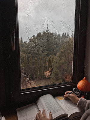 Cozy Autumn Study Session by Rainy Window with Open Book and Forest View HD phone wallpaper
