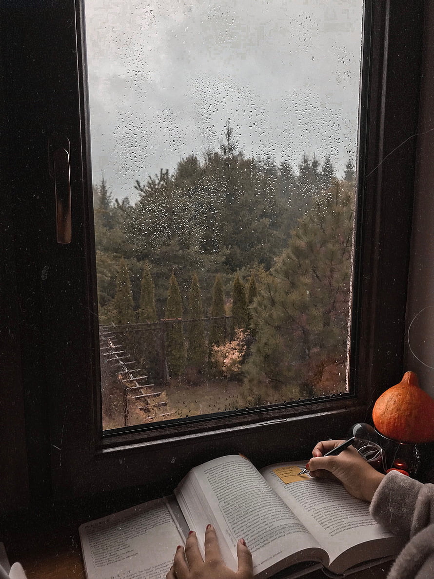 Cozy Autumn Study Session by Rainy Window with Open Book and Forest View HD phone wallpaper