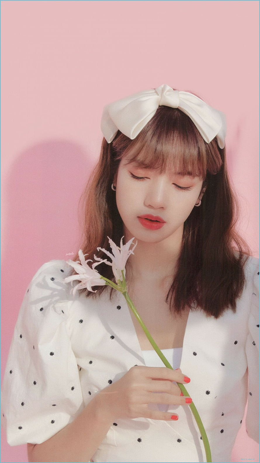 Lisa Blackpink holding white flower with pink background and white bow headband HD phone wallpaper