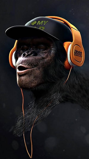 Cool Chimp Wearing Orange Headphones and Black Cap HD phone wallpaper