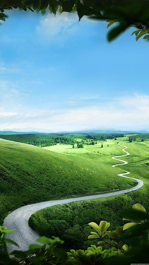 Winding Road Through Lush Green Hills and Forests Under Blue Sky HD phone wallpaper