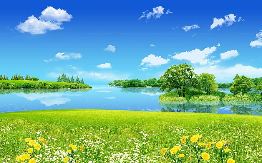 Serene Summer Landscape With Green Meadows, Wildflowers, And A Calm Lake Under Blue Sky HD wallpaper