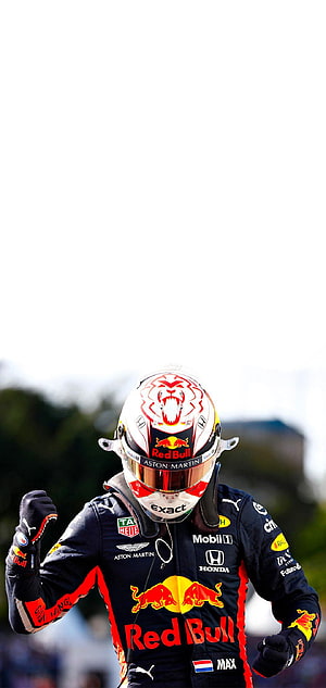 Max Verstappen in Red Bull Racing suit celebrating with fist pump on the track HD phone wallpaper