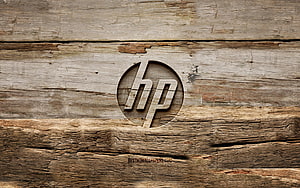 HP Logo Carved Into Weathered Rustic Wood Planks HD wallpaper