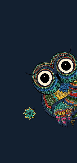 Colorful Mandala Owl Illustration on Dark Blue Background, 12 pro max HD phone wallpaper