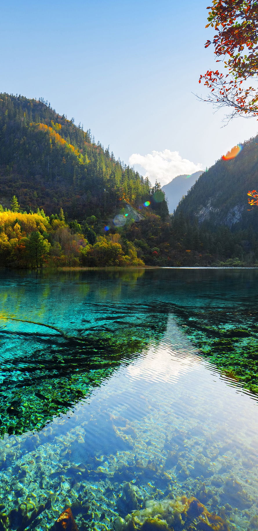 Crystal Clear Alpine Lake with Turquoise Water and Autumn Forest Reflections HD phone wallpaper