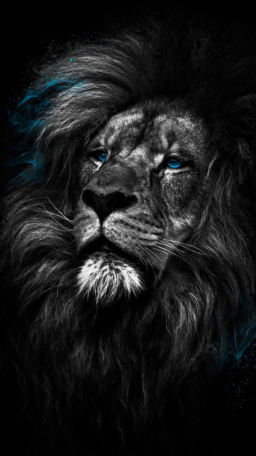 Majestic Black Lion With Glowing Blue Eyes And Mystical Smoke HD phone wallpaper