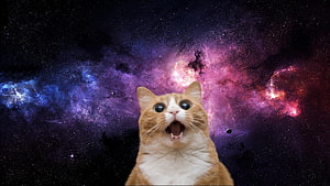 Surprised Orange Cat With Open Mouth Against Colorful Cosmic Nebula Background HD wallpaper