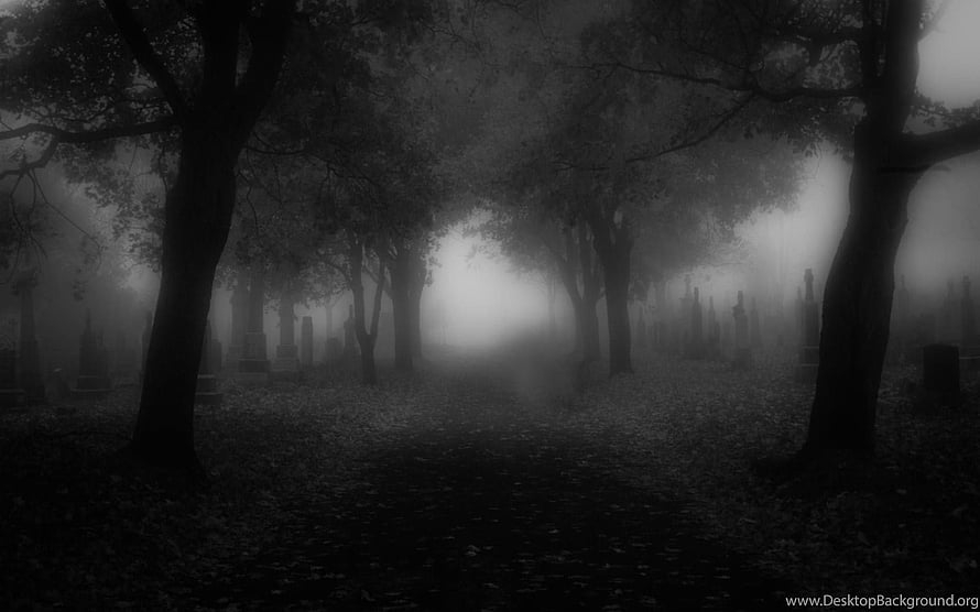 Eerie Black and White Foggy Cemetery with Ancient Tombstones and Dark Trees HD wallpaper