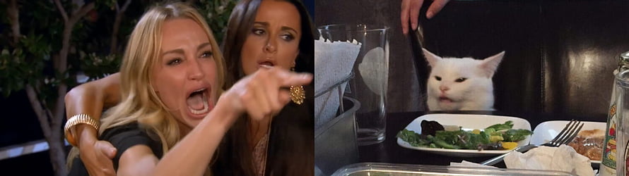 Funny Meme of Two Women Pointing at a White Cat Eating Salad at a Restaurant Table HD wallpaper