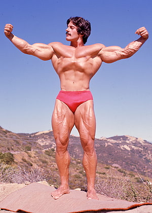 Mike Mentzer Classic Bodybuilding Pose on a Rocky Outcrop HD phone wallpaper
