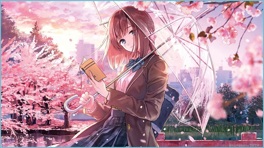 Anime Girl Holding Book Under Clear Umbrella Amidst Cherry Blossoms HD wallpaper