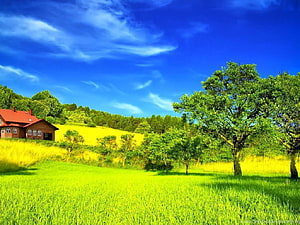 Serene Countryside Landscape With Red House And Green Fields HD wallpaper