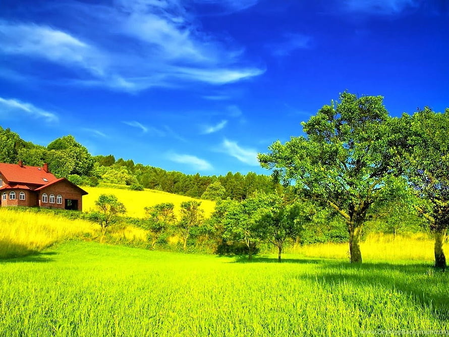 Serene Countryside Landscape With Red House And Green Fields HD wallpaper