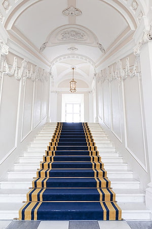 Grand European Palace Staircase With Navy Blue Carpet Runner And Ornate White Ceiling HD phone wallpaper