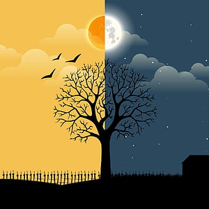 Split Day and Night Landscape with Bare Tree Silhouette, Sun, Moon, and Birds HD phone wallpaper