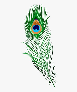 Stylized Peacock Feather Illustration With Green Barbs And Blue Eye Pattern HD phone wallpaper