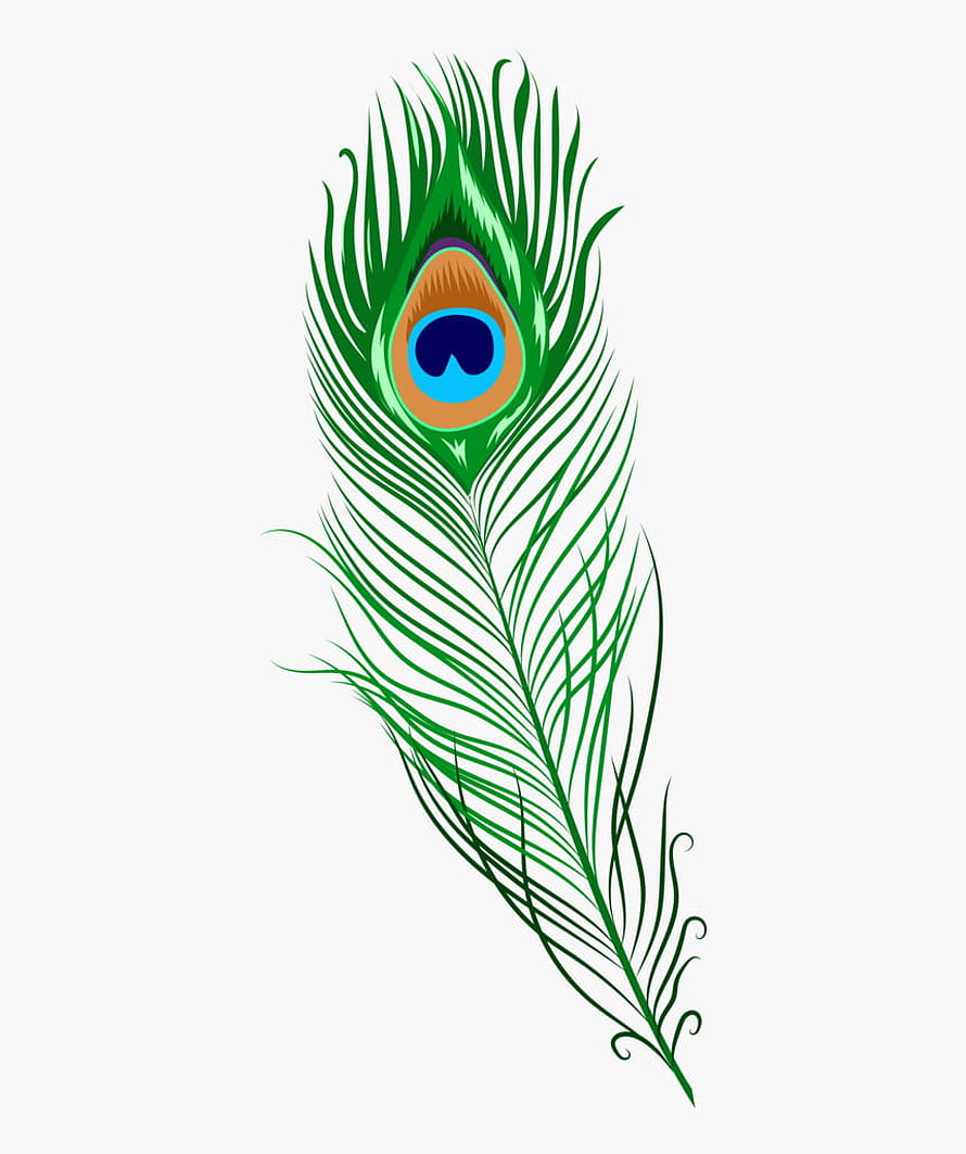 Stylized Peacock Feather Illustration With Green Barbs And Blue Eye Pattern HD phone wallpaper