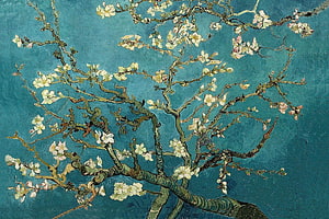 Van Gogh Almond Blossom Painting with White Flowers on Turquoise Background HD wallpaper