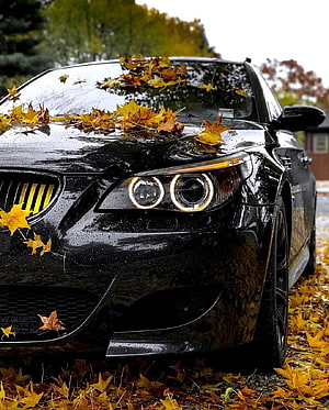 Black BMW 3 Series E90 with Angel Eyes Headlights Parked in Autumn Leaves HD phone wallpaper