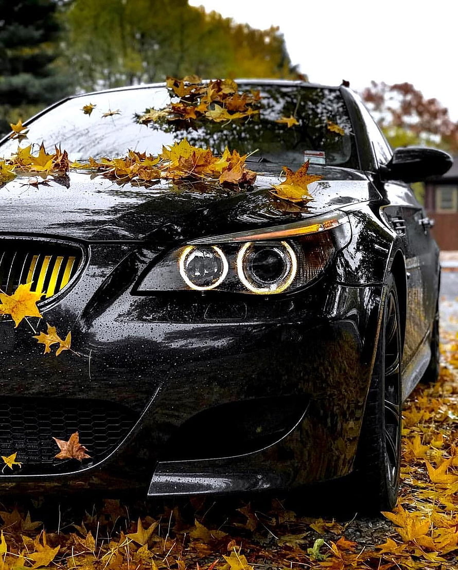 Black BMW 3 Series E90 with Angel Eyes Headlights Parked in Autumn Leaves HD phone wallpaper