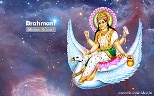 Maa Brahmani Riding a White Swan Against a Cosmic Starry Sky HD wallpaper