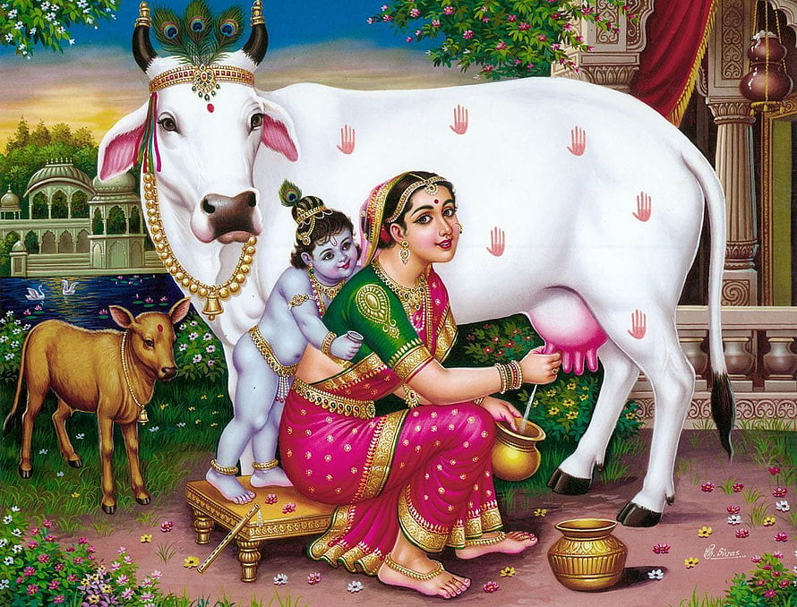 Krishna and Yashoda Milking a White Cow in a Traditional Indian Garden Setting HD wallpaper
