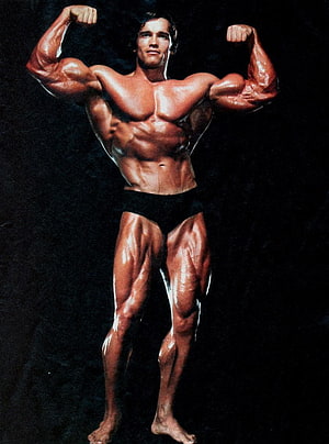 Arnold Schwarzenegger Classic Bodybuilding Pose with Defined Musculature HD phone wallpaper