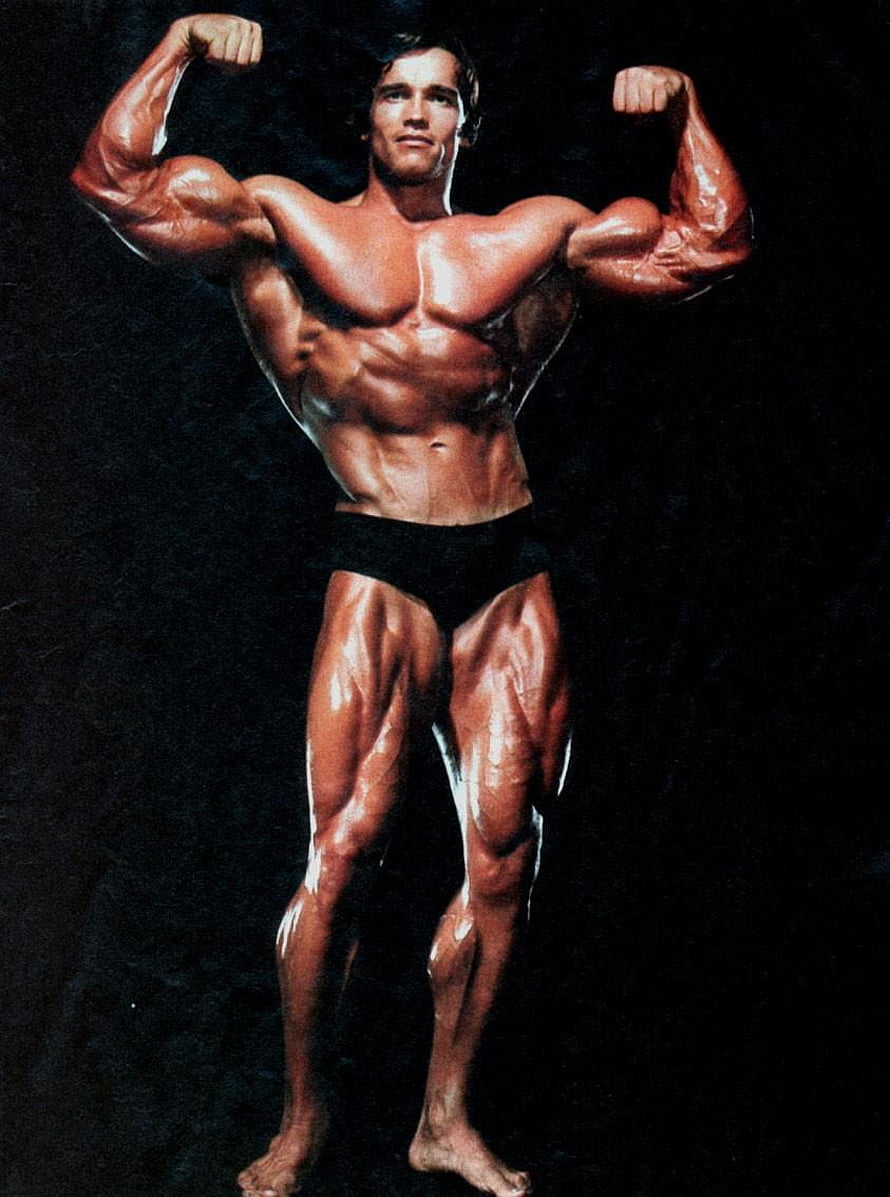 Arnold Schwarzenegger Classic Bodybuilding Pose with Defined Musculature HD phone wallpaper